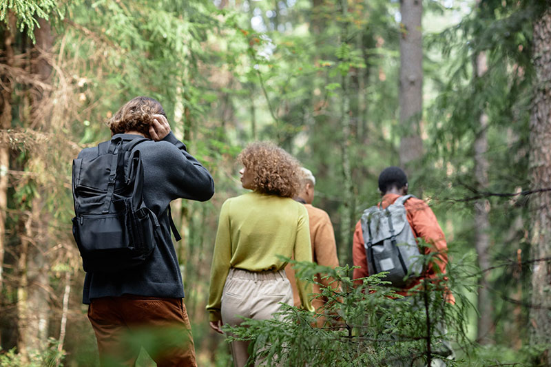 Gruppo di amici nel bosco